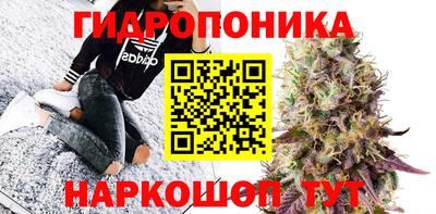 прущие грибы Ярцево