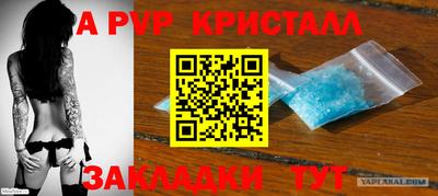 прущие грибы Ярцево