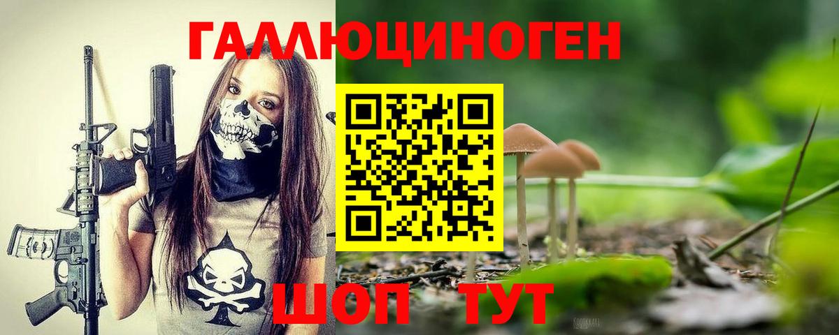 Ангарск  Псилоцибиновые грибы MAGIC MUSHROOMS  Вход с VPN 